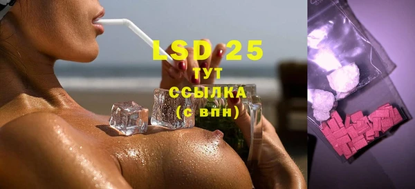 PSILOCYBIN Горнозаводск