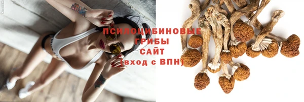 PSILOCYBIN Горнозаводск