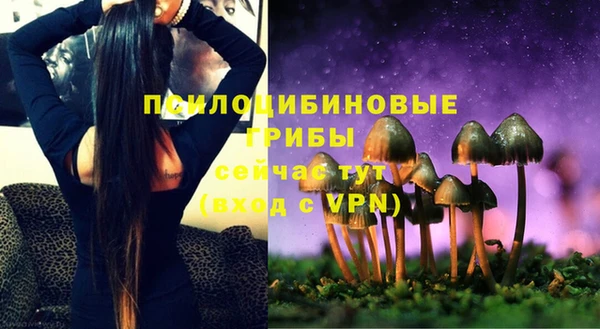молекула духа Горно-Алтайск