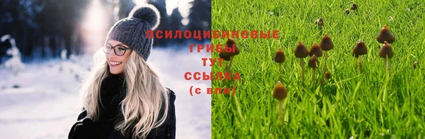 не бодяженный Горняк