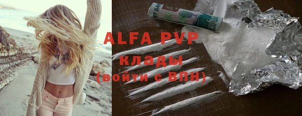 PSILOCYBIN Горнозаводск